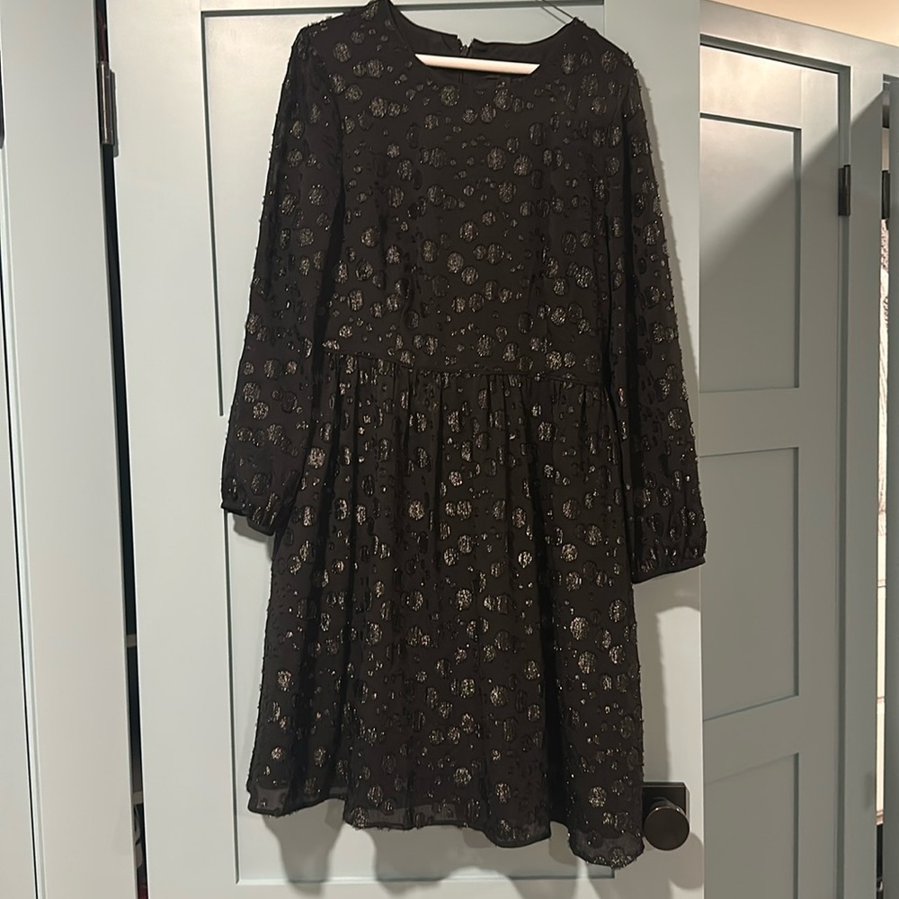 J Crew party dress 8